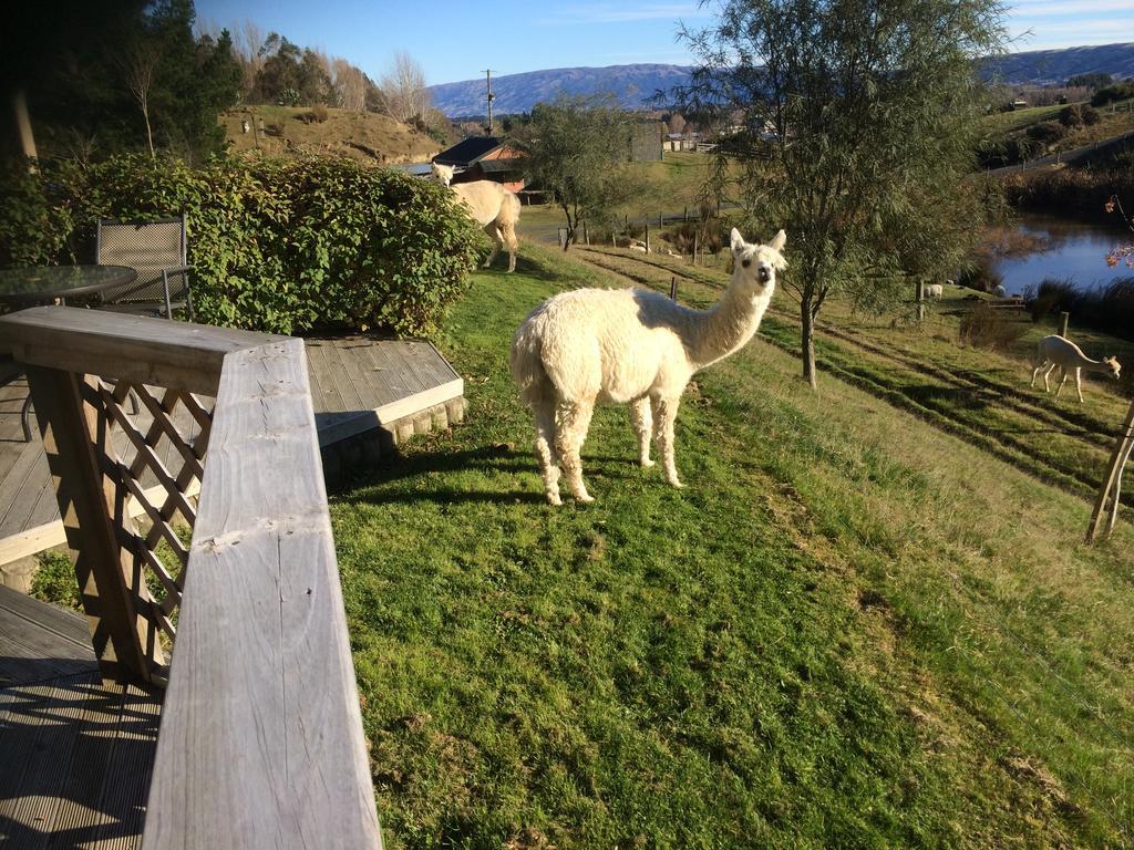 Hunters Moon Villa Mosgiel Eksteriør bilde