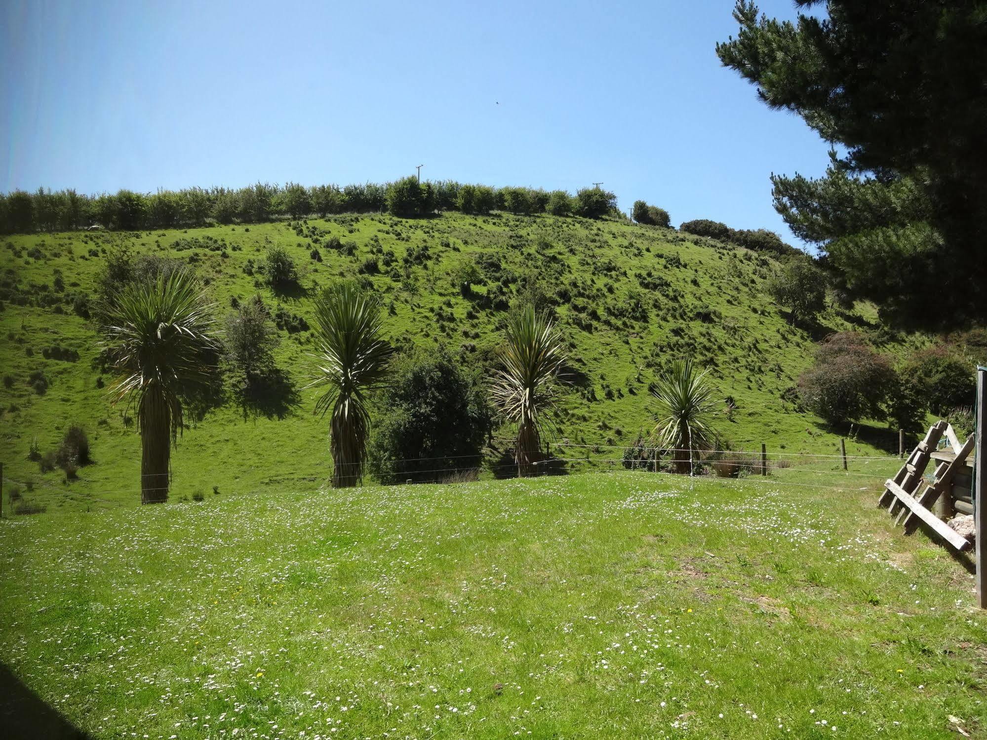 Hunters Moon Villa Mosgiel Eksteriør bilde